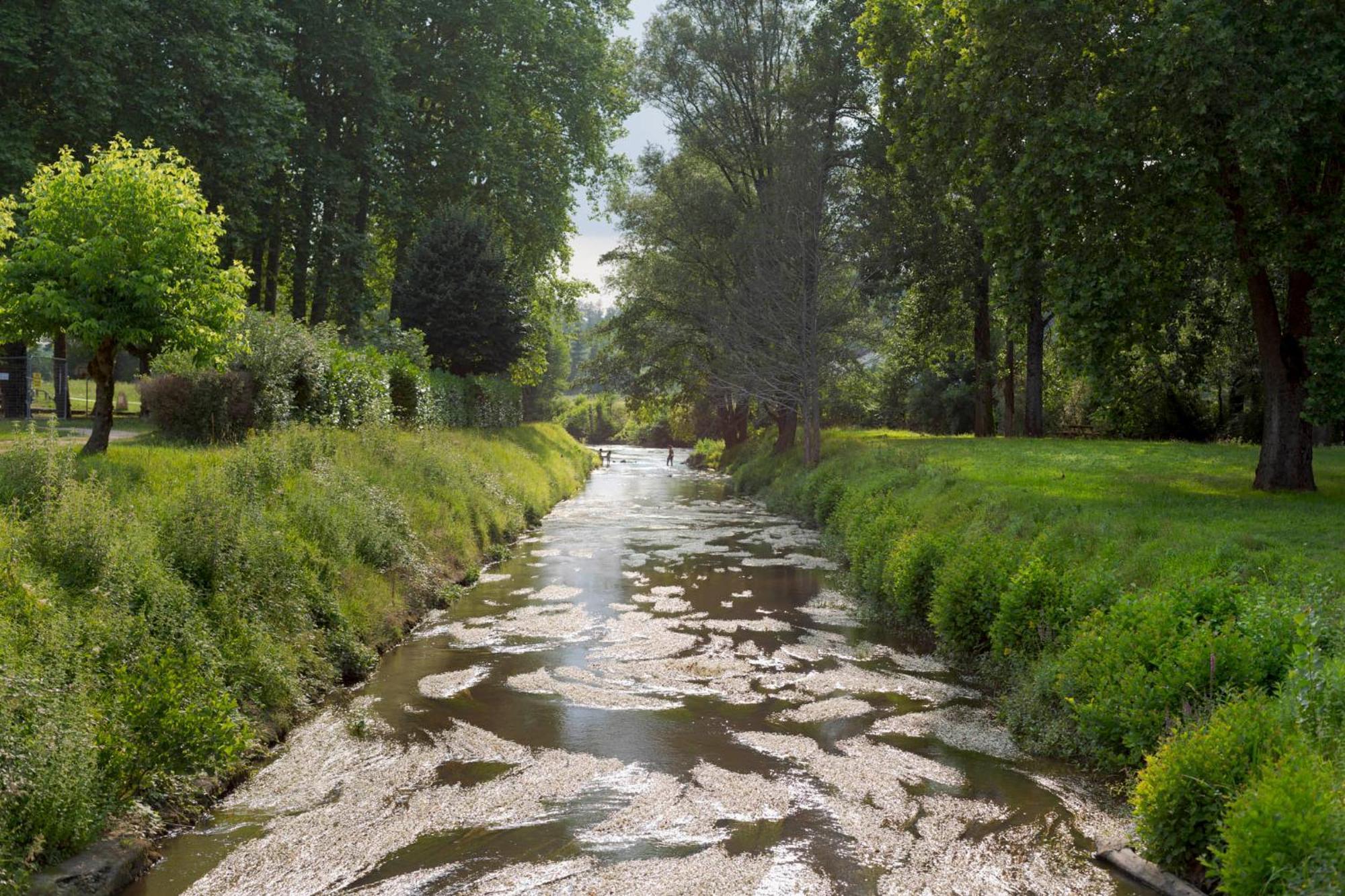 La Petite Maison Du Perigord Tourtoirac Eksteriør bilde
